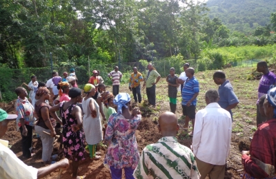 Promoting Sustainable Agriculture for Food Security and Nutrition